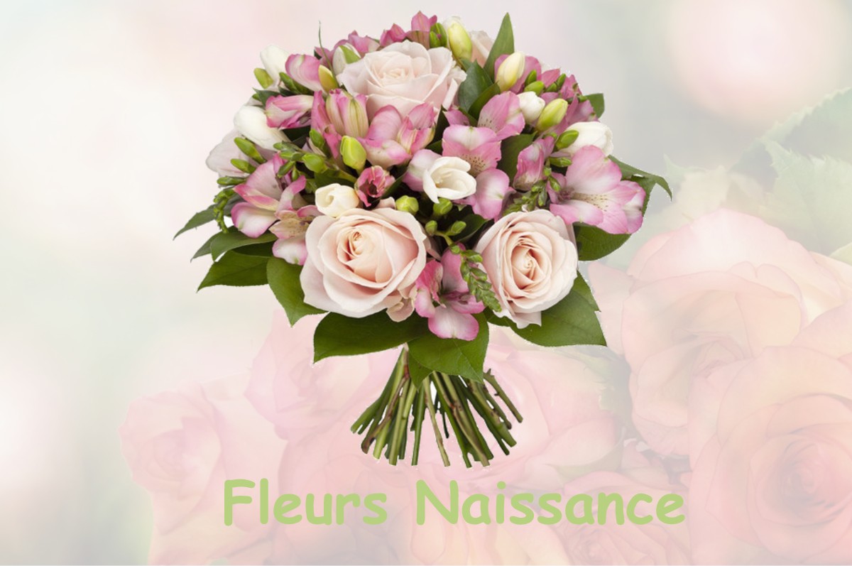 fleurs naissance BANS