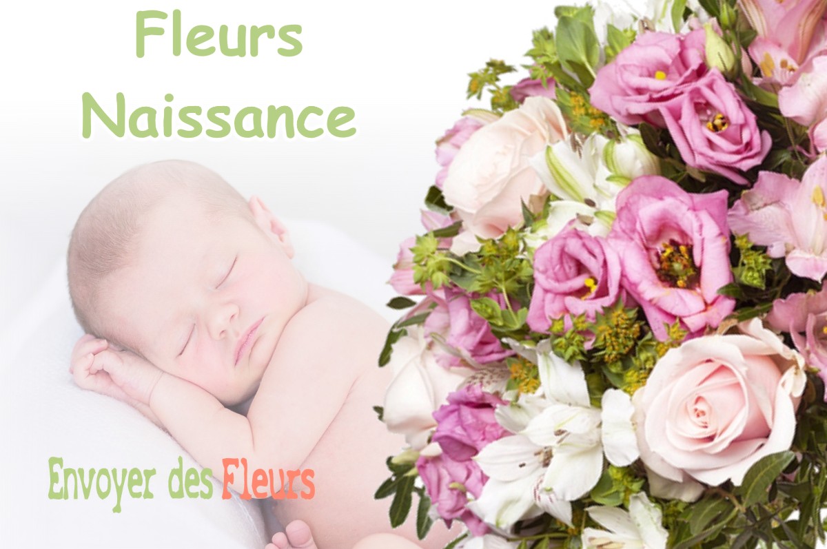 lIVRAISON FLEURS NAISSANCE à BANS